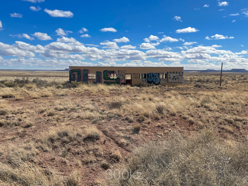 Into The Desert Wilderness🌵 Stray Decay Along The Way